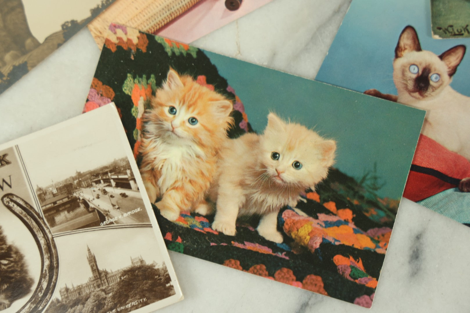 Lot 086 - Grouping Of Nine Vintage Photographic Cat Postcards, Dog Postcard, Including Siamese Cats, And More