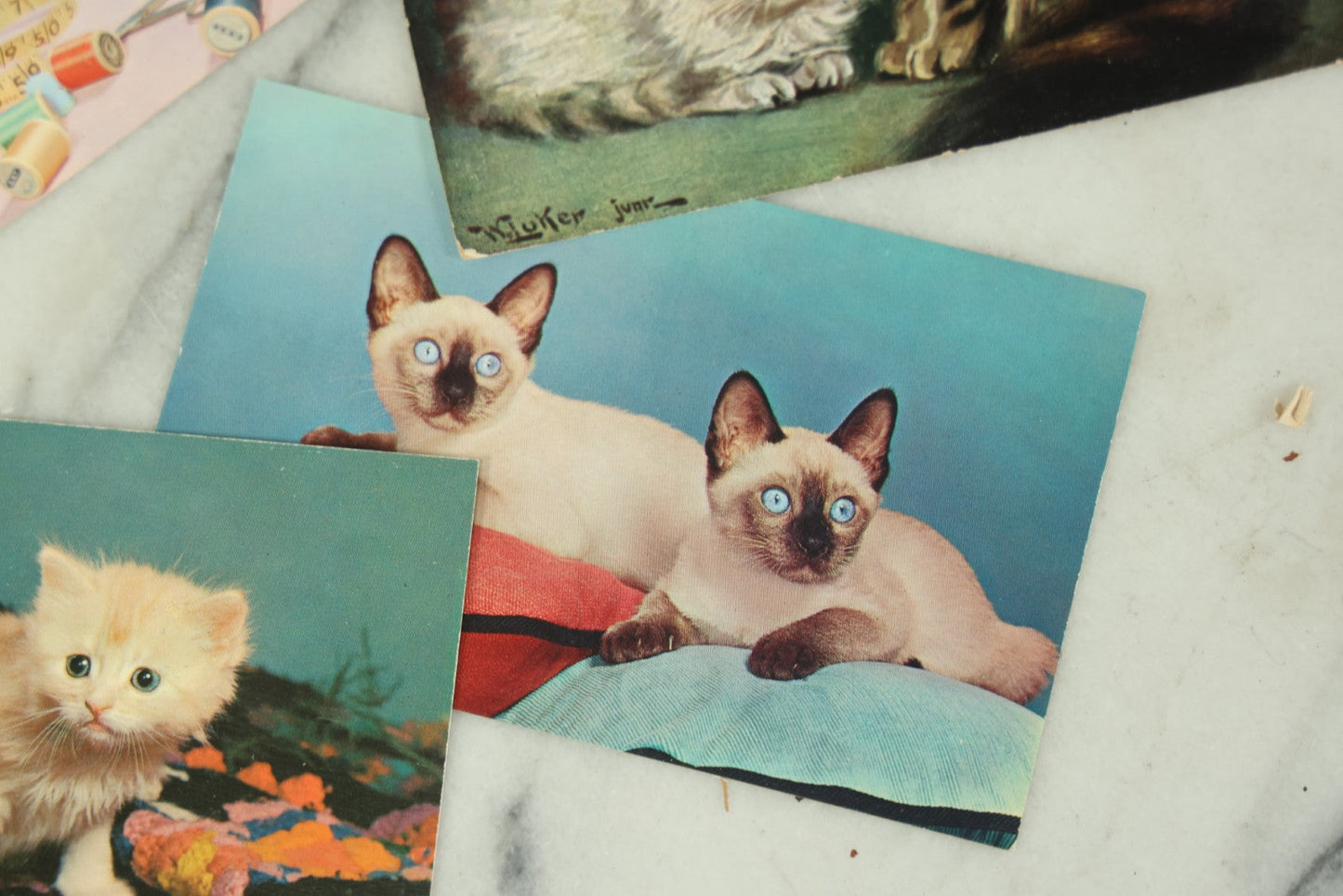 Lot 086 - Grouping Of Nine Vintage Photographic Cat Postcards, Dog Postcard, Including Siamese Cats, And More