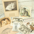 Lot 088 - Grouping Of Eight Pieces Of Cat And Dog Ephemera Including Partial White Cat Calendar, Fish Diagram, Dog Litho, Etc.