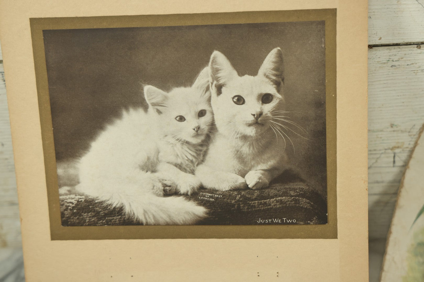 Lot 088 - Grouping Of Eight Pieces Of Cat And Dog Ephemera Including Partial White Cat Calendar, Fish Diagram, Dog Litho, Etc., 