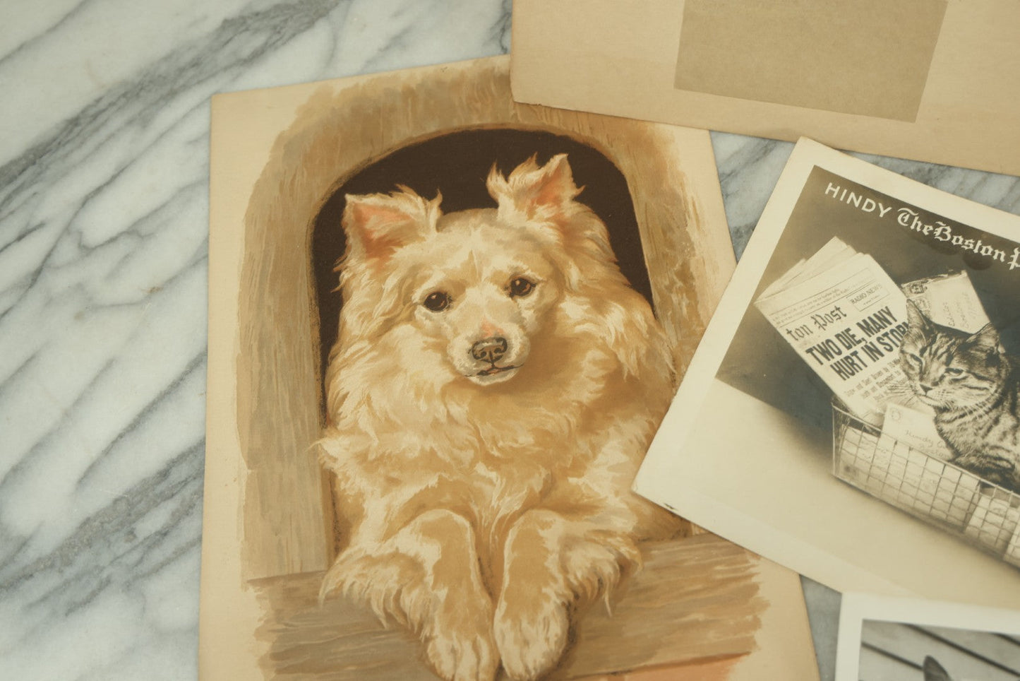 Lot 088 - Grouping Of Eight Pieces Of Cat And Dog Ephemera Including Partial White Cat Calendar, Fish Diagram, Dog Litho, Etc., 
