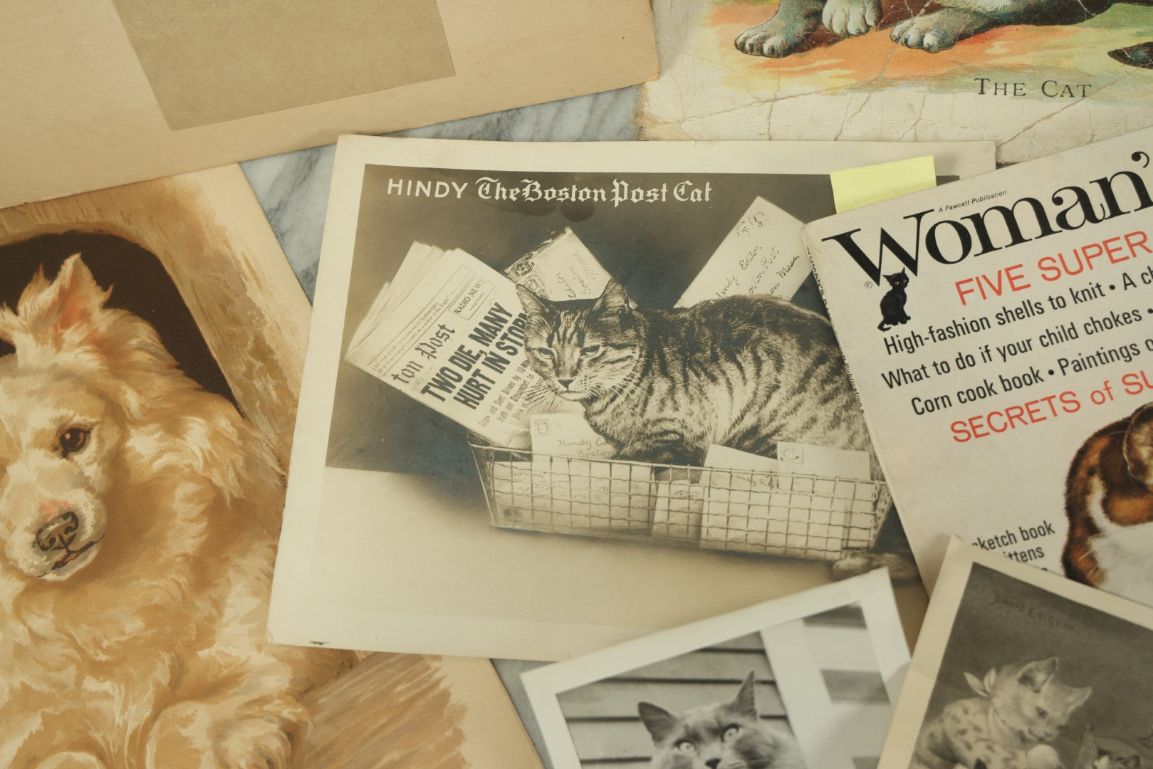 Lot 088 - Grouping Of Eight Pieces Of Cat And Dog Ephemera Including Partial White Cat Calendar, Fish Diagram, Dog Litho, Etc., 