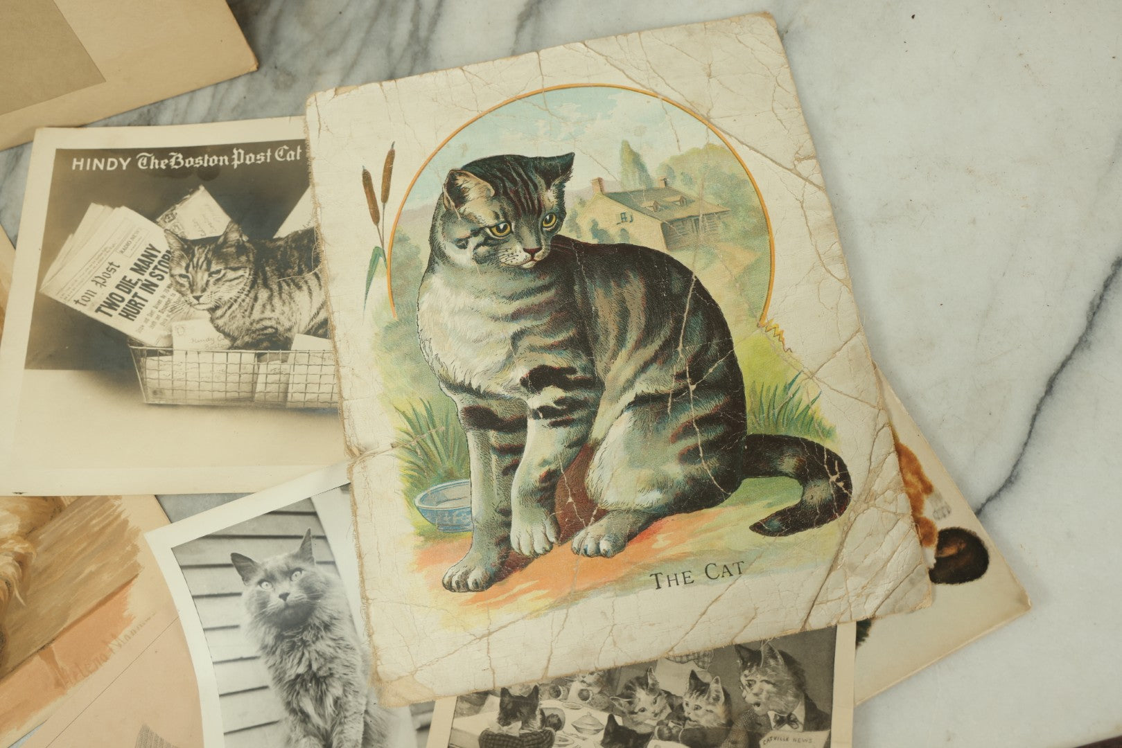 Lot 088 - Grouping Of Eight Pieces Of Cat And Dog Ephemera Including Partial White Cat Calendar, Fish Diagram, Dog Litho, Etc., 