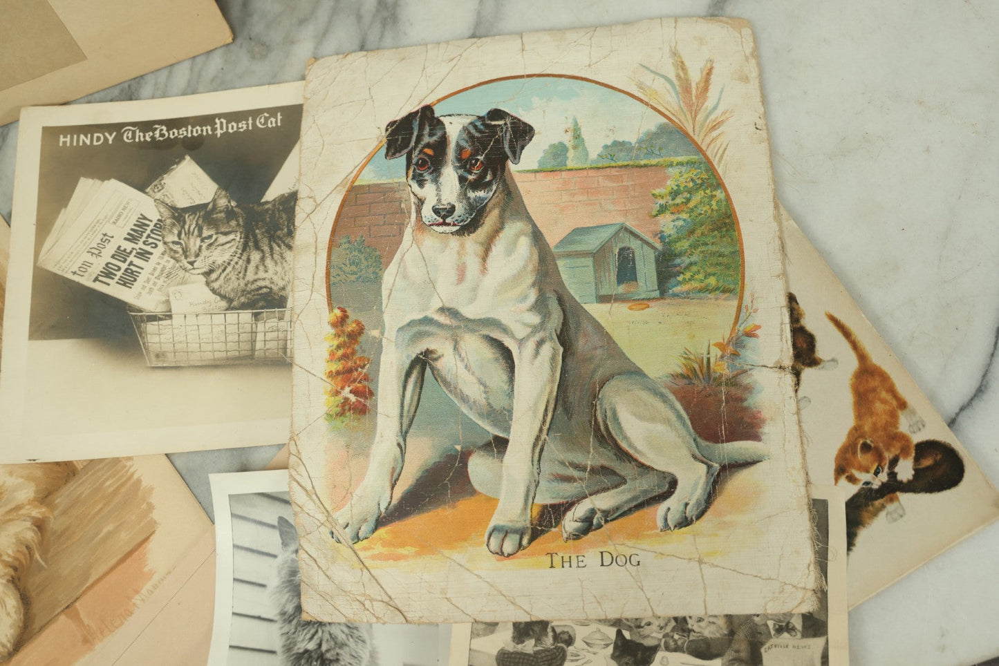Lot 088 - Grouping Of Eight Pieces Of Cat And Dog Ephemera Including Partial White Cat Calendar, Fish Diagram, Dog Litho, Etc., 