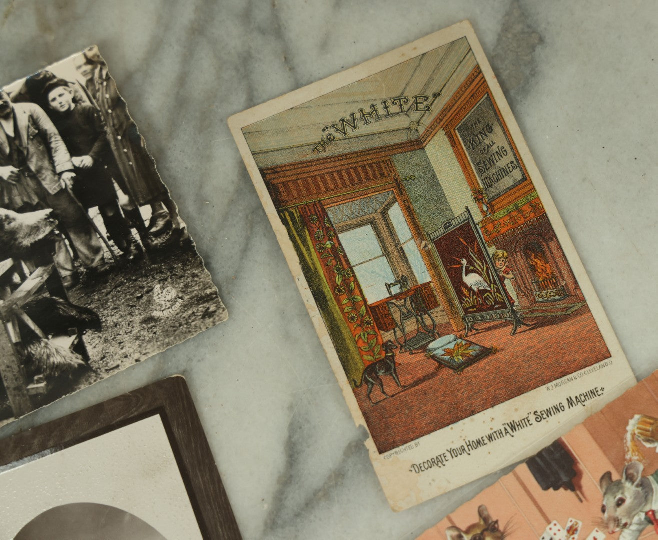 Lot 089 - Grouping Of Eleven Vintage And Antique Postcards And Trade Cards, Including Trade Card With Insect, Orphan Girls, Illustrated Nudist Comic Postcards, And More