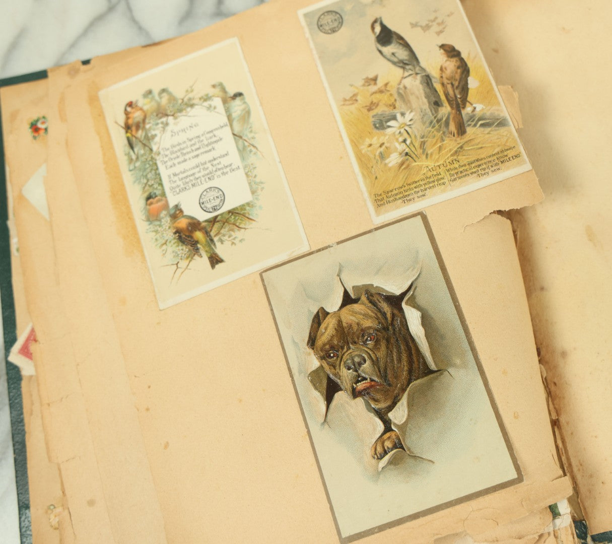 Lot 091 - Antique Victorian Scrapbook Album Featuring Many Lithographed Trade Cards, With Green Cover With Chinese Motif, As Found, Note Wear And Tear