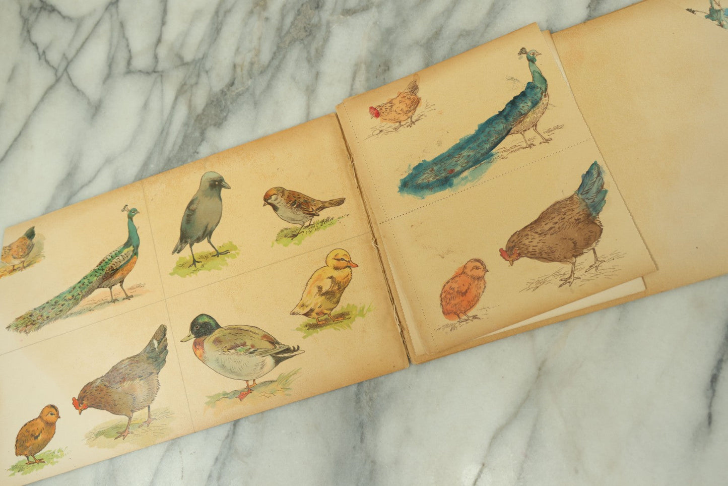 Lot 100 - "The Little Postcard Painter" Antique Postcard Painting Book For Children, By Ernest Nister, London, And E.P. Dutton &* Co., New York, No. 888, Watercolor Book For Children To Paint Their Own Postcards, Used