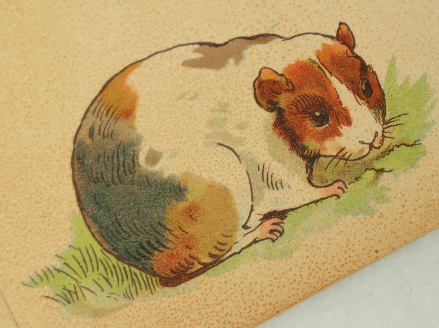 Lot 100 - "The Little Postcard Painter" Antique Postcard Painting Book For Children, By Ernest Nister, London, And E.P. Dutton &* Co., New York, No. 888, Watercolor Book For Children To Paint Their Own Postcards, Used