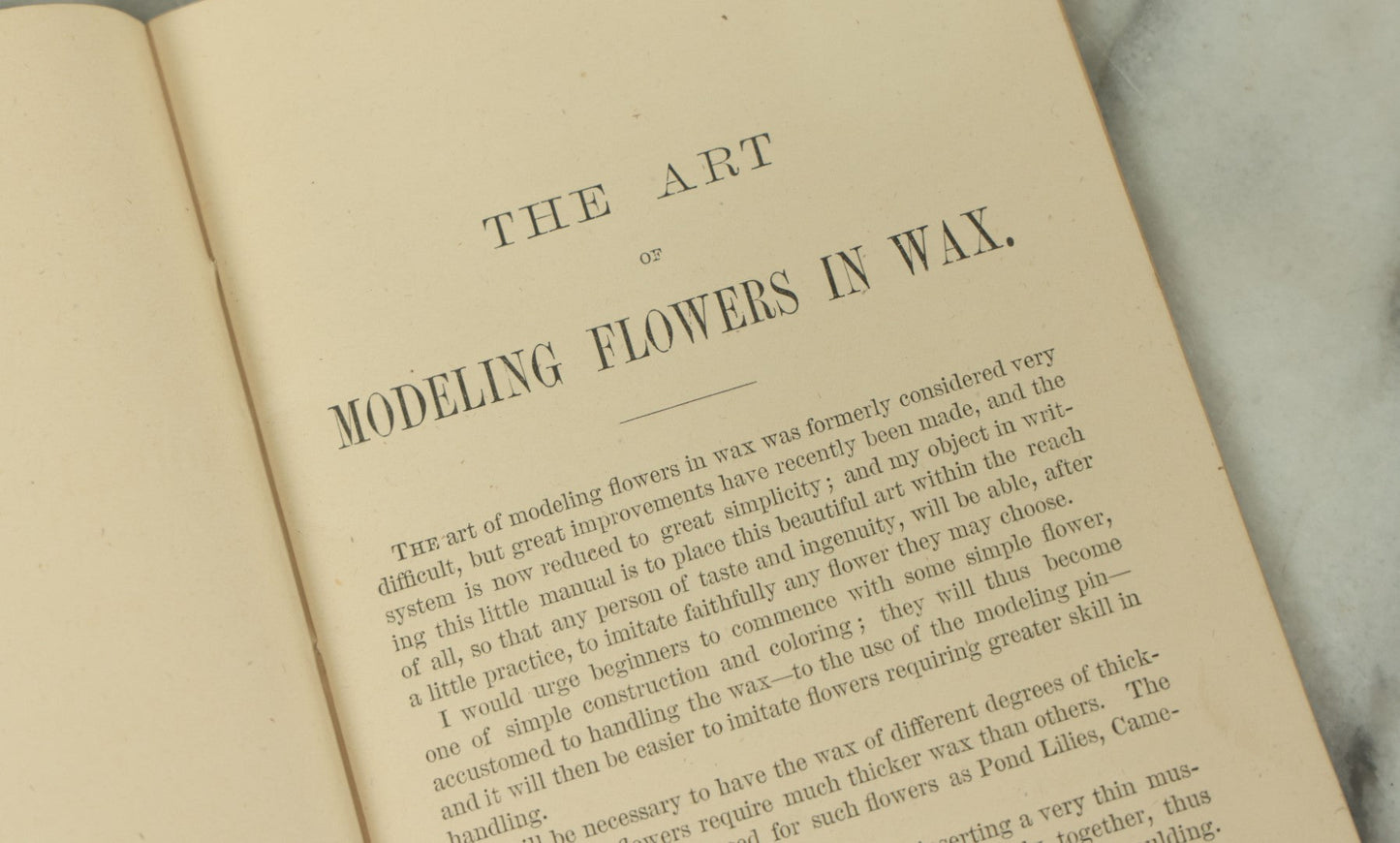 Lot 105 - "Wax Flowers And Fruit Modeling Without A Teacher" Antique Illustrated Art Instruction Booklet With Illustrations, J.L. Patten & Co., Publishers, 1876