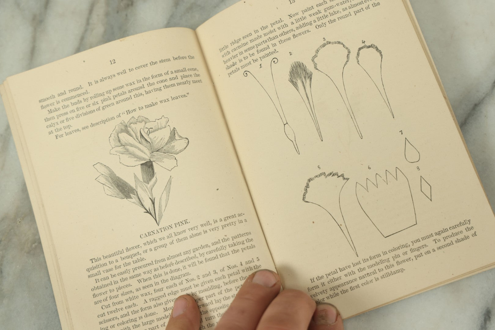 Lot 105 - "Wax Flowers And Fruit Modeling Without A Teacher" Antique Illustrated Art Instruction Booklet With Illustrations, J.L. Patten & Co., Publishers, 1876