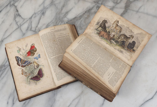 Lot 001 - "A History Of The Earth And Animated Nature" Antique Natural History Two Volume Book Set By Oliver Goldsmith, Profusely Illustrated With Hand Colored Engravings, Published By Blackie And Son, Glasgow, 1857