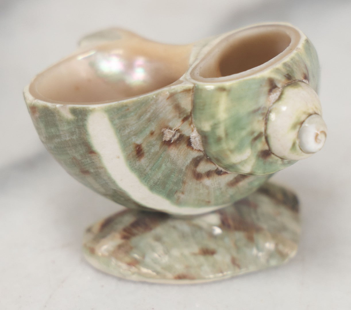 Lot 035 - Antique Real Shell Nautilus Salt Cellar With Shell Base, Pol ...