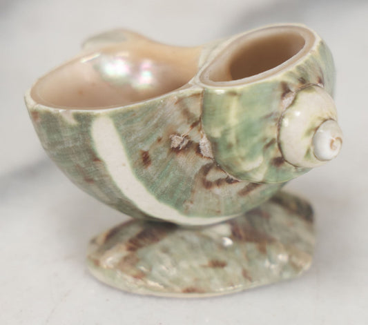 Lot 035 - Antique Real Shell Nautilus Salt Cellar With Shell Base, Polished Surface