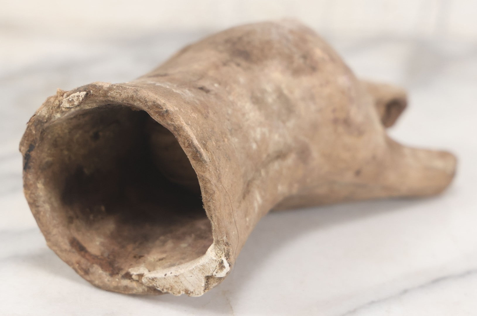 Lot 090 - Vintage Papier Mache Taxidermy Head Form, With Ball Of String Inside Mouth, Possibly Repurposed As String Holder
