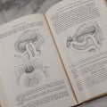 Lot 110 - "The Surgical Clinics Of North America, June 1947, Tumors" Vintage Medical Book With Photographs Of Pathology, W.B. Sauders Company Publishers, 1947
