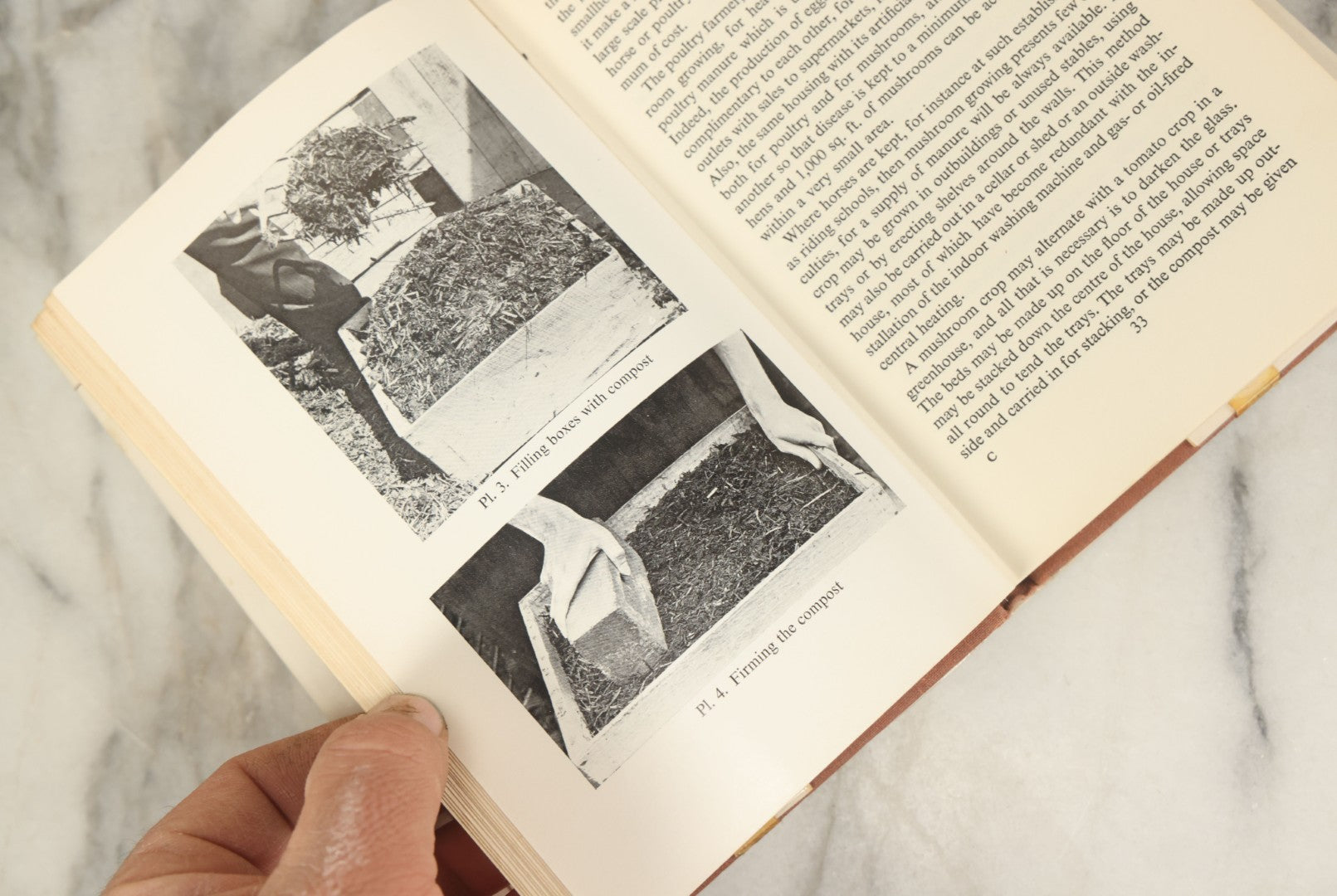 Lot 135 - "Mushroom Growing For Everyone" Vintage Book By Roy Genders, The B.B.C. Television Mushroom Grower, 1974 Reprint, Illustrated 