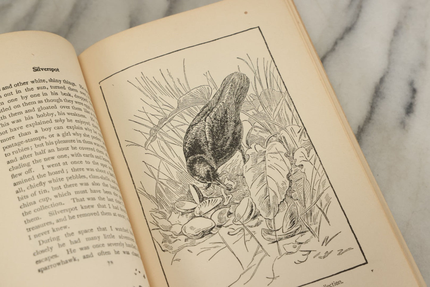 Lot 123 - "Wild Animals I Have Known" Vintage Book By Ernest Thompson Seton, With Over 200 Drawings By The Author, Grosset & Dunlap Publishers, By Arrangement With Charles Scribner's Sons, New York, 1926 Edition