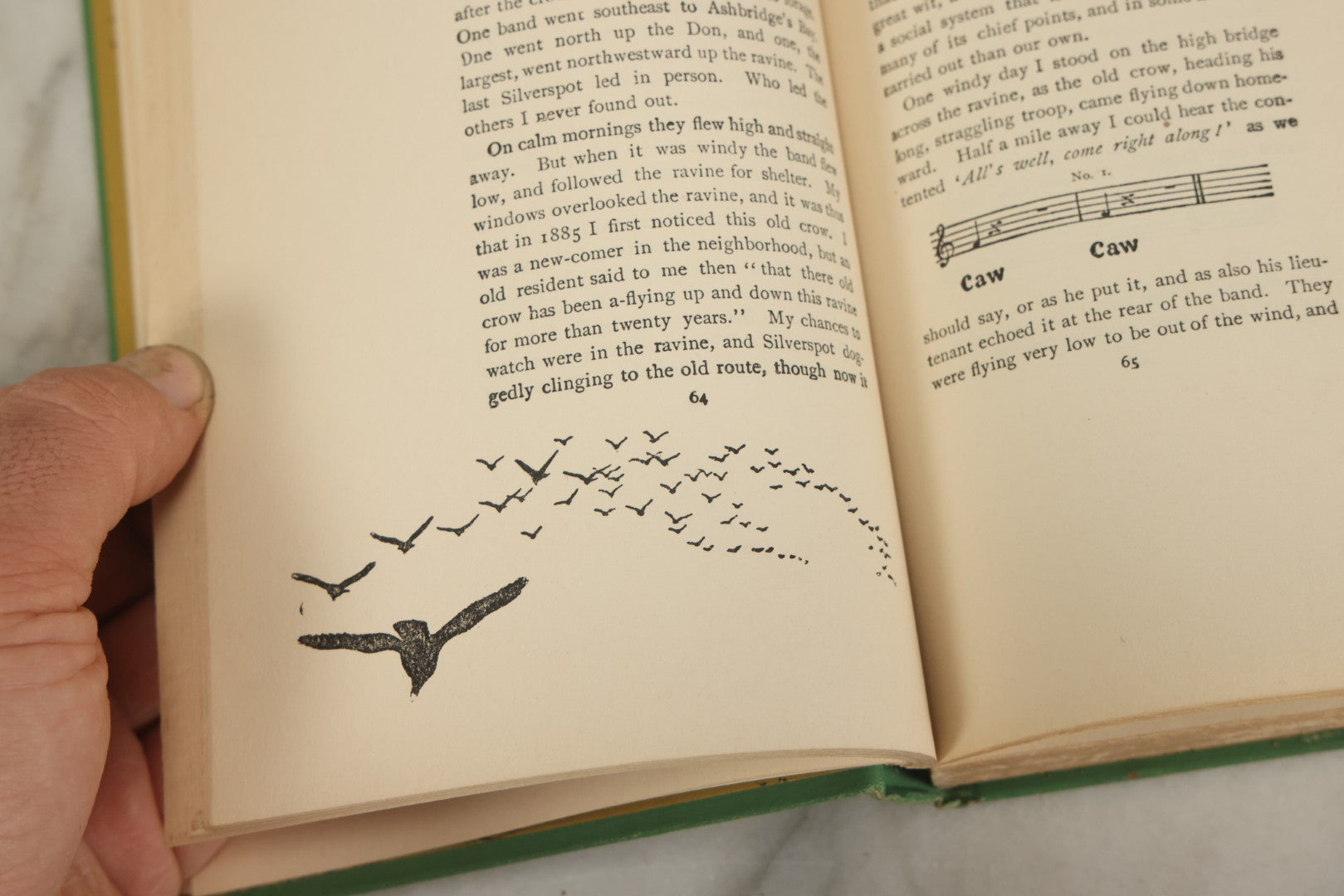 Lot 123 - "Wild Animals I Have Known" Vintage Book By Ernest Thompson Seton, With Over 200 Drawings By The Author, Grosset & Dunlap Publishers, By Arrangement With Charles Scribner's Sons, New York, 1926 Edition