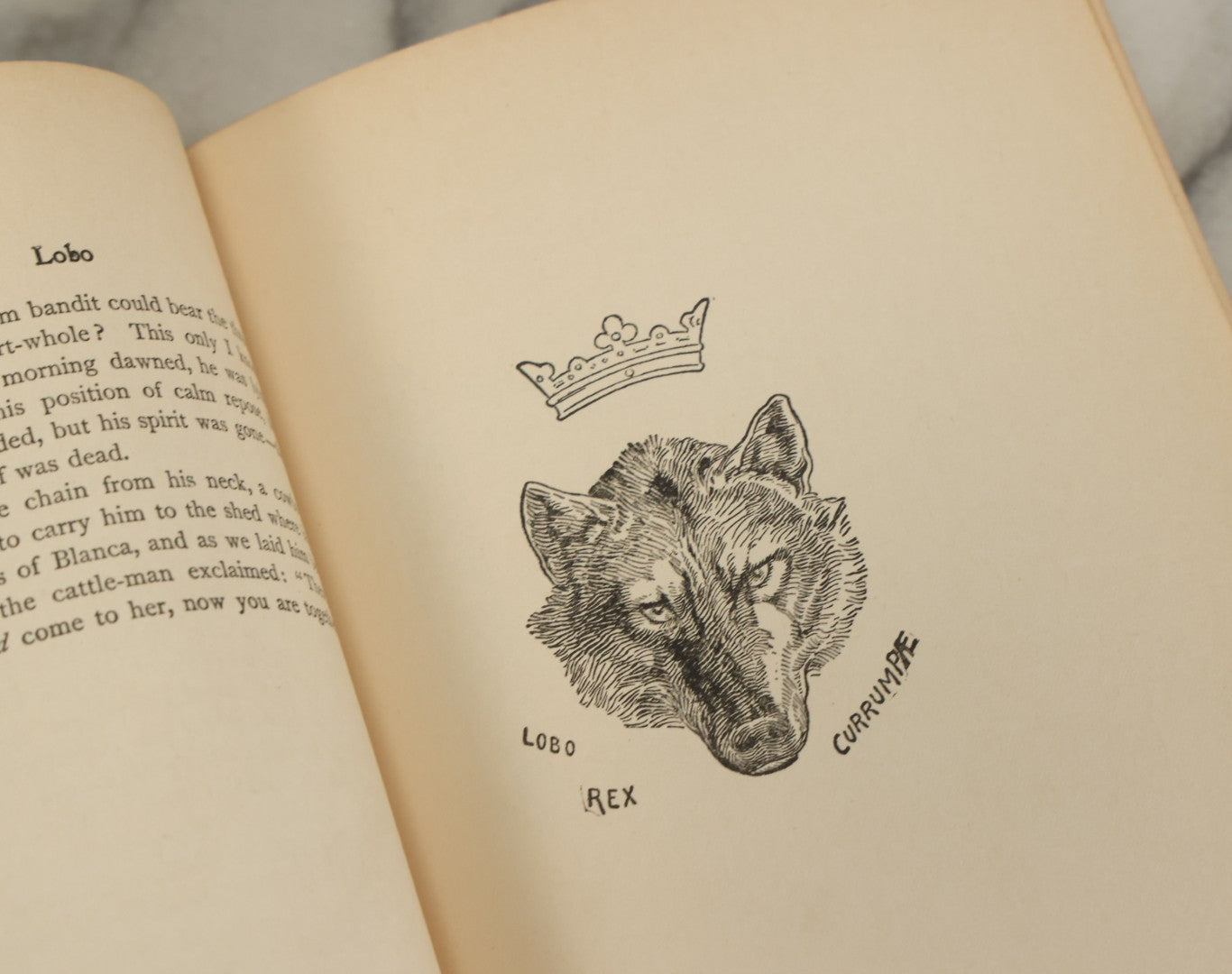 Lot 123 - "Wild Animals I Have Known" Vintage Book By Ernest Thompson Seton, With Over 200 Drawings By The Author, Grosset & Dunlap Publishers, By Arrangement With Charles Scribner's Sons, New York, 1926 Edition