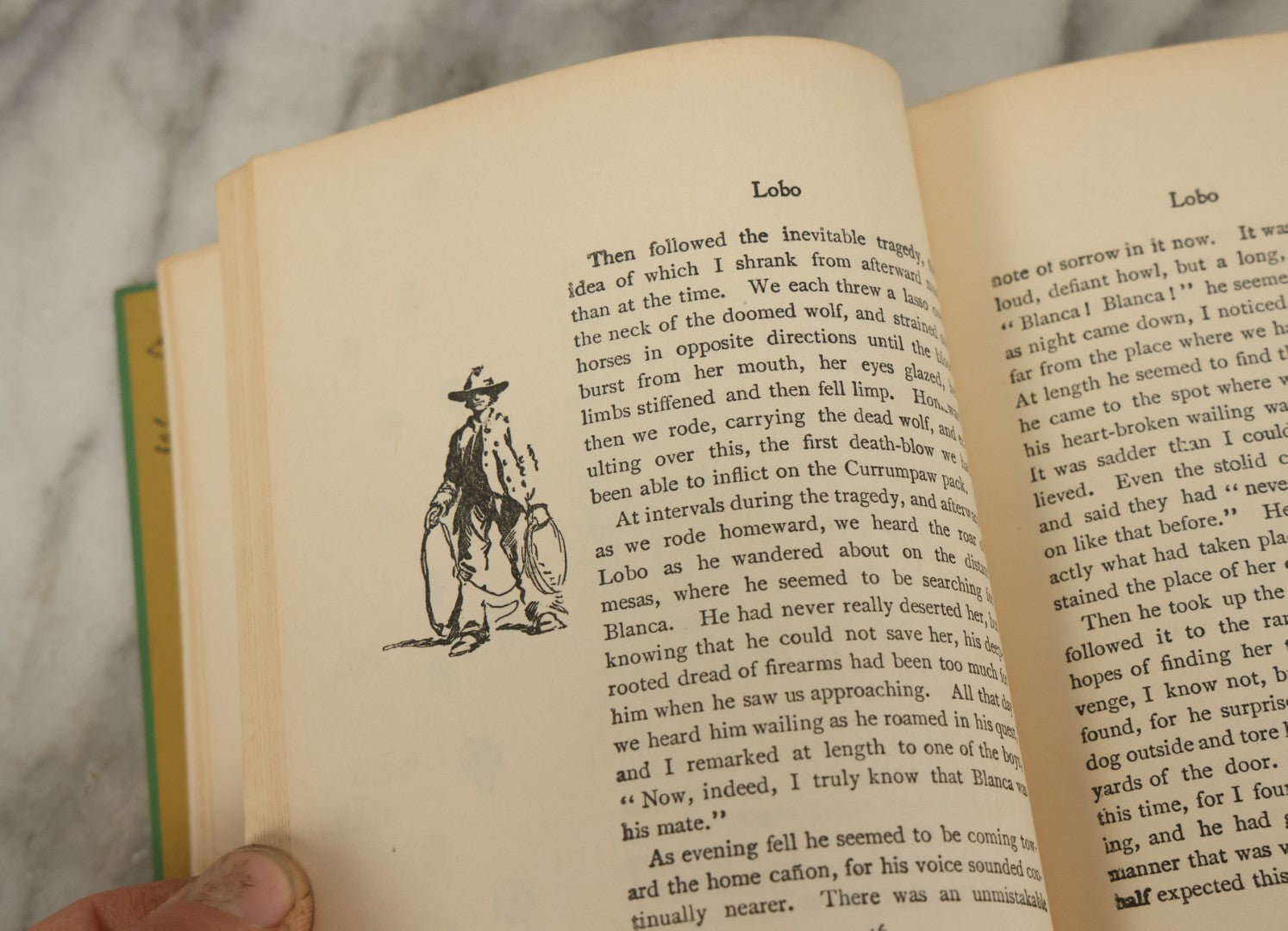 Lot 123 - "Wild Animals I Have Known" Vintage Book By Ernest Thompson Seton, With Over 200 Drawings By The Author, Grosset & Dunlap Publishers, By Arrangement With Charles Scribner's Sons, New York, 1926 Edition