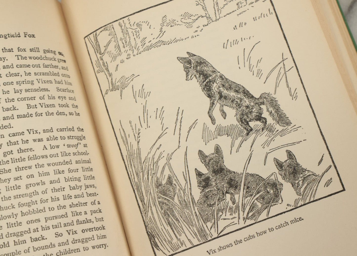 Lot 123 - "Wild Animals I Have Known" Vintage Book By Ernest Thompson Seton, With Over 200 Drawings By The Author, Grosset & Dunlap Publishers, By Arrangement With Charles Scribner's Sons, New York, 1926 Edition