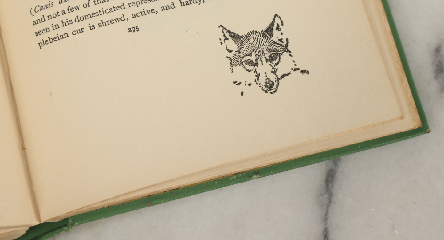 Lot 123 - "Wild Animals I Have Known" Vintage Book By Ernest Thompson Seton, With Over 200 Drawings By The Author, Grosset & Dunlap Publishers, By Arrangement With Charles Scribner's Sons, New York, 1926 Edition