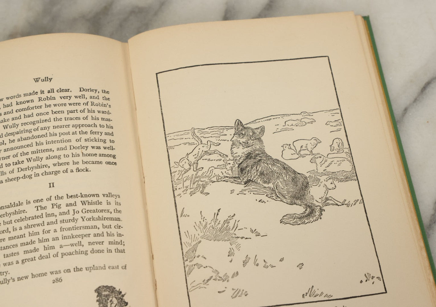 Lot 123 - "Wild Animals I Have Known" Vintage Book By Ernest Thompson Seton, With Over 200 Drawings By The Author, Grosset & Dunlap Publishers, By Arrangement With Charles Scribner's Sons, New York, 1926 Edition