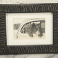 Lot 129 - Vintage Framed Snapshot Photograph Of A Bear In A Car, Circa 1940s, In Modern Frame, 9-1/8" x 7-1/8"