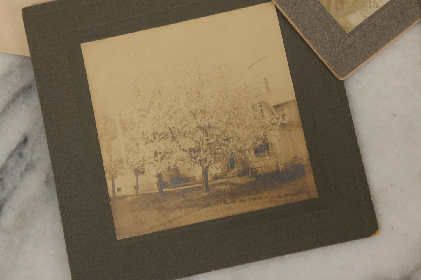 Lot 178 - Grouping Of 10+ Miscellaneous Boarded Antique Photographs And Snapshots, Including Women, Interiors, Photographs Of Homes And More