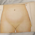 Lot 095 - Antique Paper Fold Out Medical Bookplate Of The Female Reproductive System Womb, Fetus, Etc., Copyright A.A. Marshall, 1919