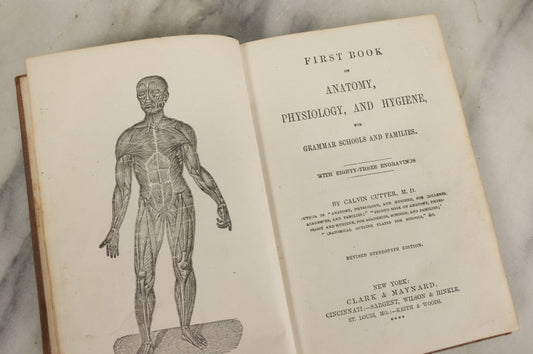 Lot 030 - "First Book On Anatomy, Physiology, And Hygiene, For Grammar Schools And Families" Antique Medical Book By Calvin Cutter, M.D. With 83 Engraved Illustrations, Clark & Maynard Publishers, New York 1852