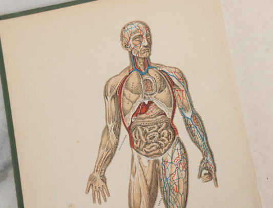 Lot 140 - "A Treatise On Physiology And Hygiene For Institutions And General Readers" Antique Book, By Joseph C. Hutchison, M.D., Fully Illustrated, Effingham Maynard And Co., Publishers, New York, 1891