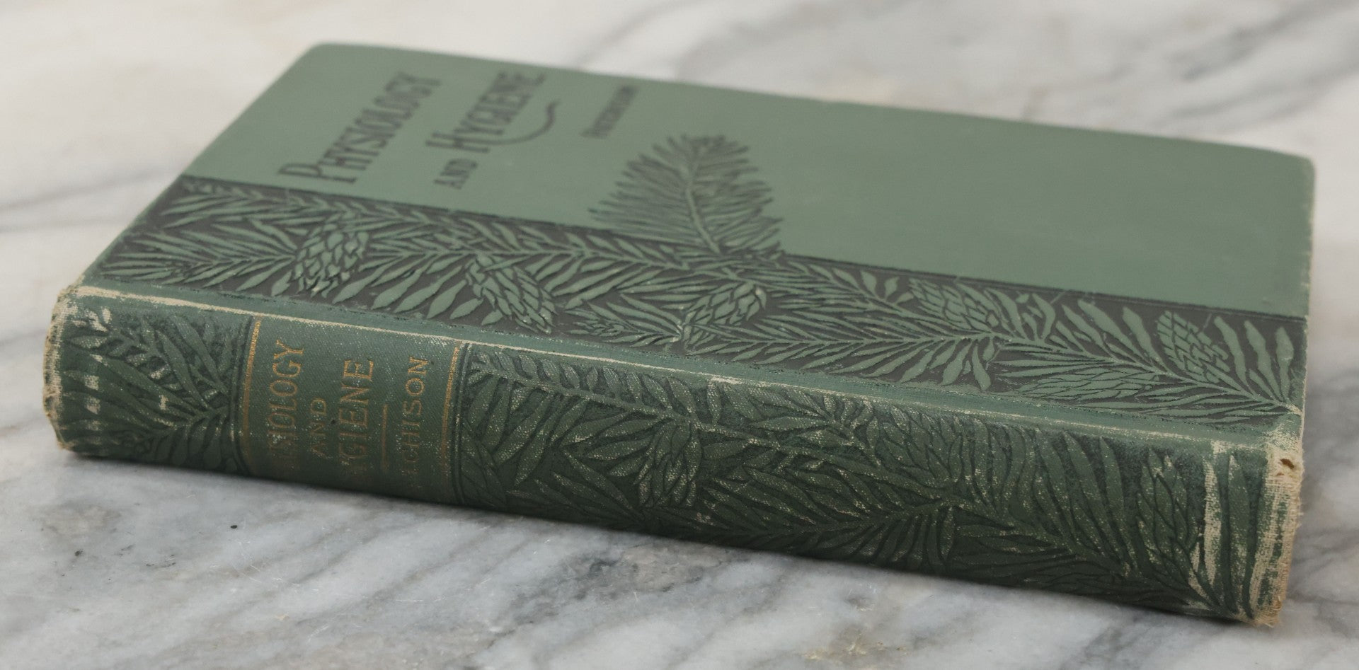 Lot 140 - "A Treatise On Physiology And Hygiene For Institutions And General Readers" Antique Book, By Joseph C. Hutchison, M.D., Fully Illustrated, Effingham Maynard And Co., Publishers, New York, 1891