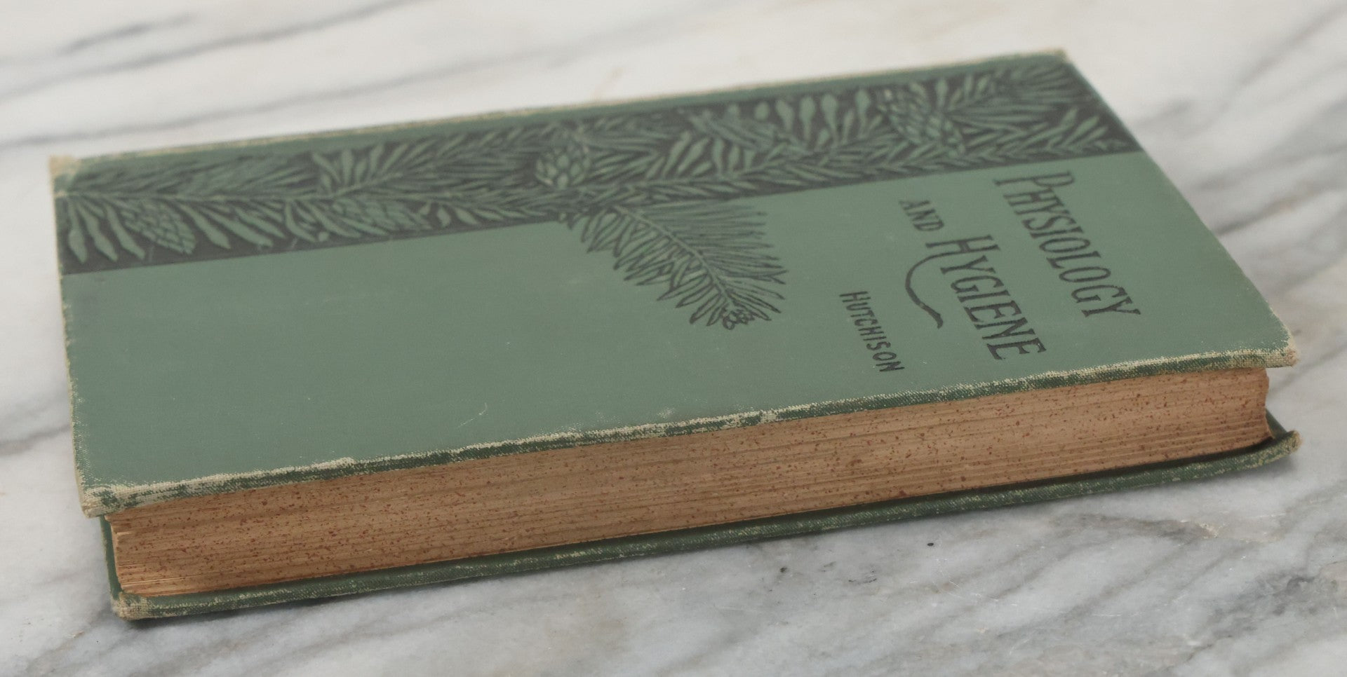 Lot 140 - "A Treatise On Physiology And Hygiene For Institutions And General Readers" Antique Book, By Joseph C. Hutchison, M.D., Fully Illustrated, Effingham Maynard And Co., Publishers, New York, 1891
