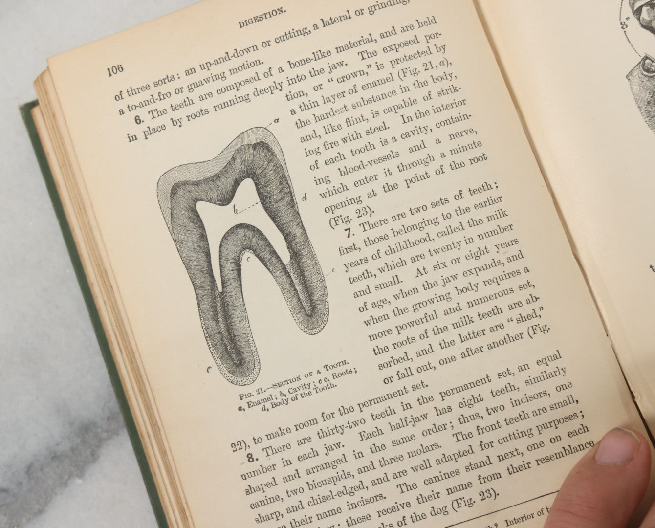 Lot 140 - "A Treatise On Physiology And Hygiene For Institutions And General Readers" Antique Book, By Joseph C. Hutchison, M.D., Fully Illustrated, Effingham Maynard And Co., Publishers, New York, 1891