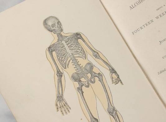 Lot 141 - "Pathfinder Physiology No. 3: Hygienic Physiology With Special Reference To The Use Of Alcoholic Drinks And Narcotics" Antique Book, By Joel Dorman Steele, Ph.D. Illustrated, American Book Company, Publishers, New York, 1888