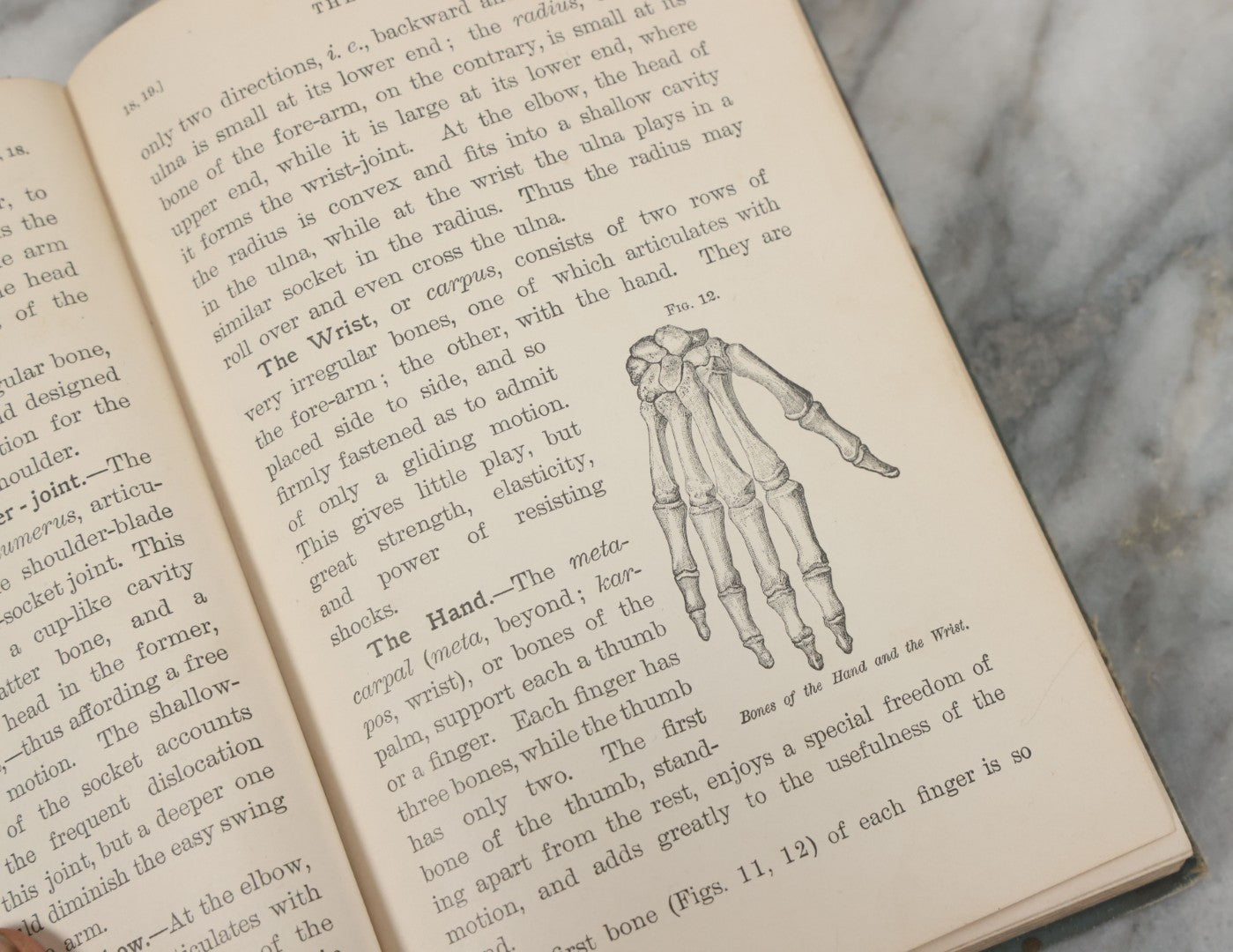 Lot 141 - "Pathfinder Physiology No. 3: Hygienic Physiology With Special Reference To The Use Of Alcoholic Drinks And Narcotics" Antique Book, By Joel Dorman Steele, Ph.D. Illustrated, American Book Company, Publishers, New York, 1888
