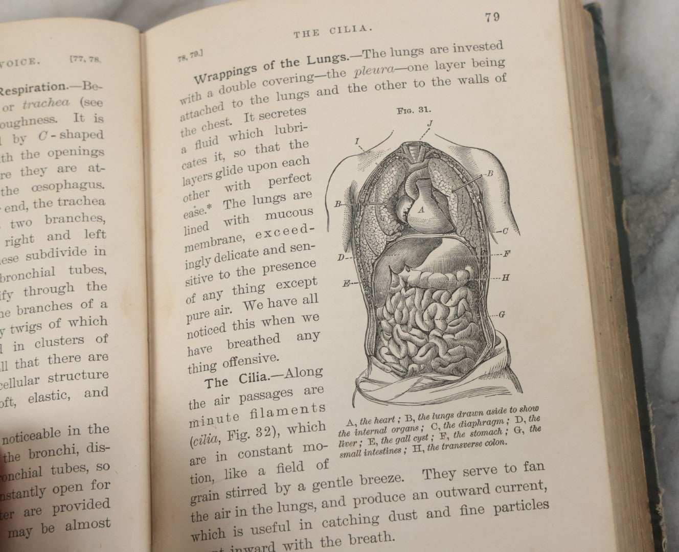Lot 141 - "Pathfinder Physiology No. 3: Hygienic Physiology With Special Reference To The Use Of Alcoholic Drinks And Narcotics" Antique Book, By Joel Dorman Steele, Ph.D. Illustrated, American Book Company, Publishers, New York, 1888