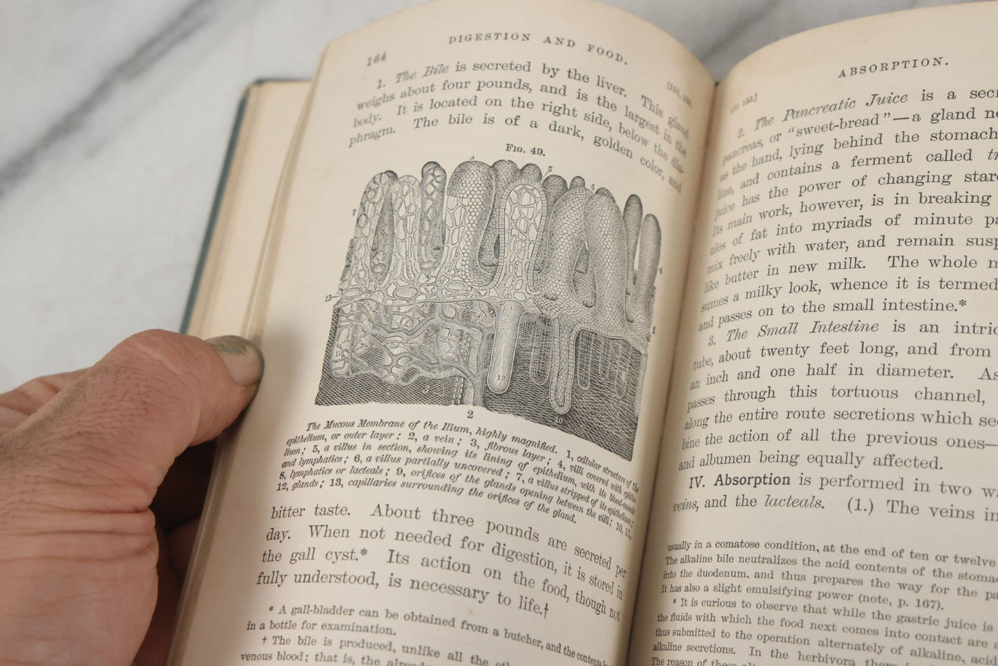 Lot 141 - "Pathfinder Physiology No. 3: Hygienic Physiology With Special Reference To The Use Of Alcoholic Drinks And Narcotics" Antique Book, By Joel Dorman Steele, Ph.D. Illustrated, American Book Company, Publishers, New York, 1888
