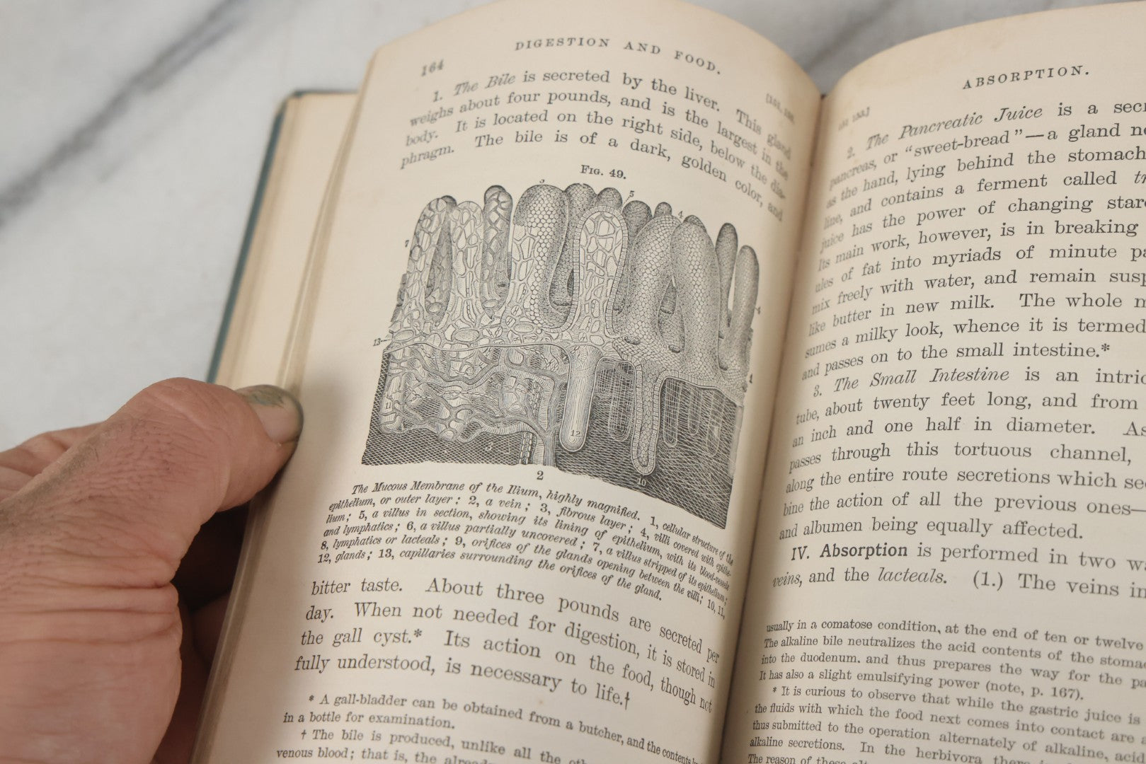 Lot 141 - "Pathfinder Physiology No. 3: Hygienic Physiology With Special Reference To The Use Of Alcoholic Drinks And Narcotics" Antique Book, By Joel Dorman Steele, Ph.D. Illustrated, American Book Company, Publishers, New York, 1888