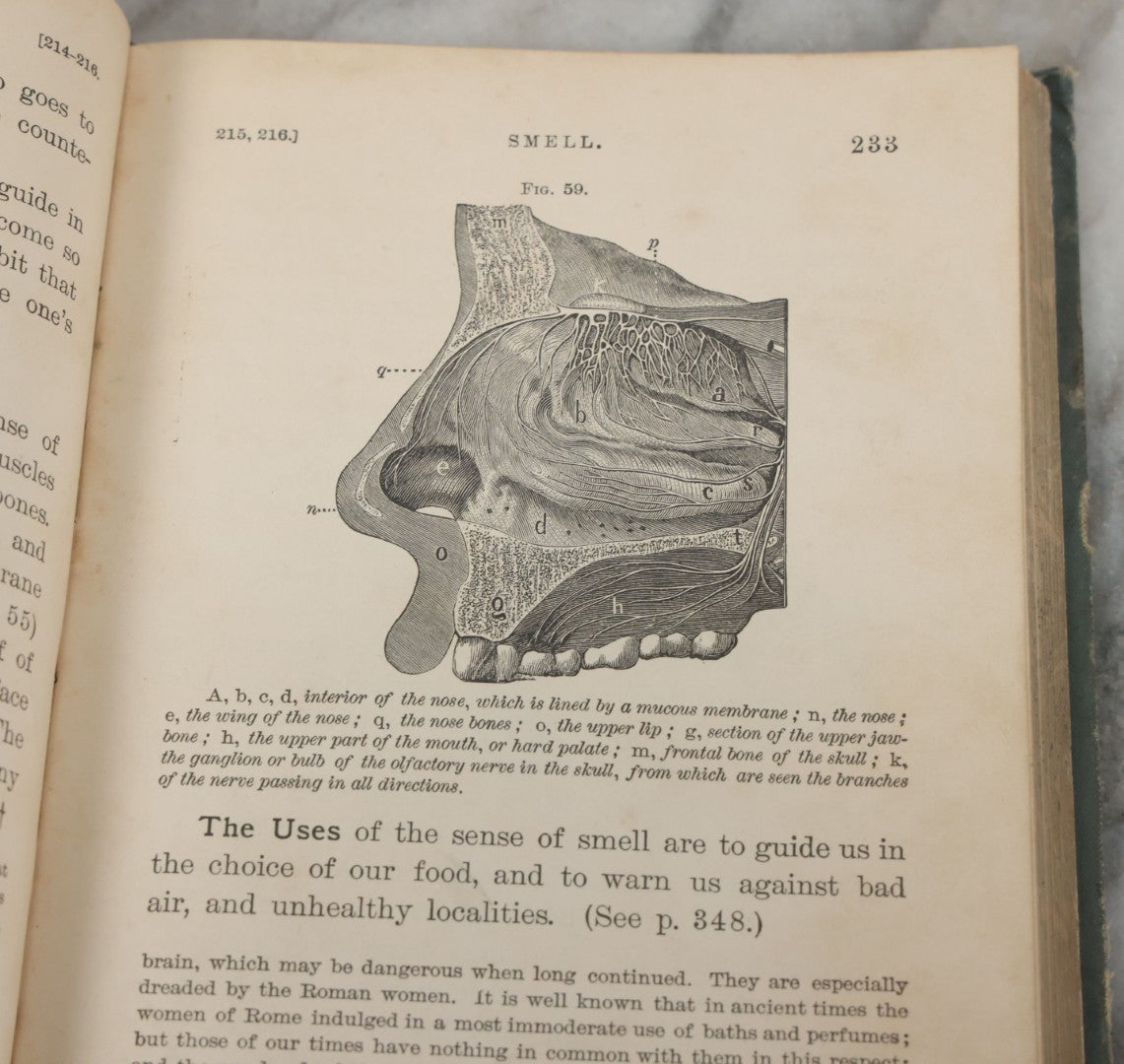 Lot 141 - "Pathfinder Physiology No. 3: Hygienic Physiology With Special Reference To The Use Of Alcoholic Drinks And Narcotics" Antique Book, By Joel Dorman Steele, Ph.D. Illustrated, American Book Company, Publishers, New York, 1888