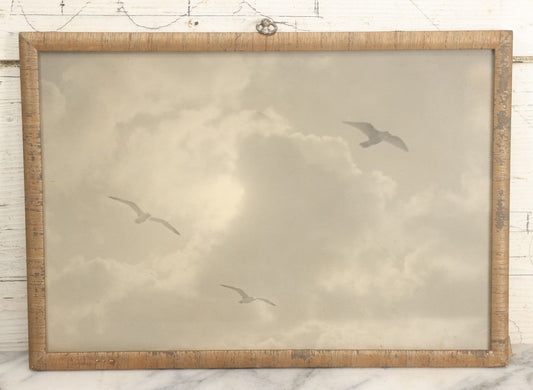 Lot 005 - Antique Flush Mounted Boarded Photograph Of Seagulls Over San Francisco California By Willard E. Worden (1868-1946), Circa 1900, In Frame, Framed At Jordan Marsh Company, 13-5/8" x 9-5/8"