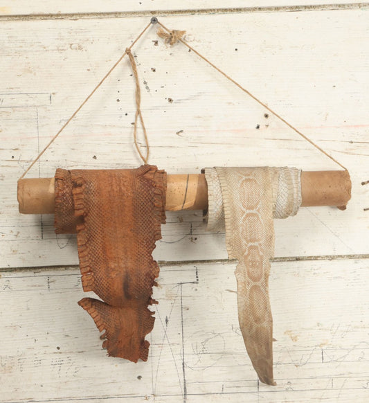 Lot 007 - Antique Snakeskin Store Display With Two Varieties Of Snakeskin On Hanging Cardboard Tube, Sent From Chester B. Stem Inc., New Albany, Indiana, To Mr. Peter B. Hale, Designer And Craftsman Of Hampton, Connecticut