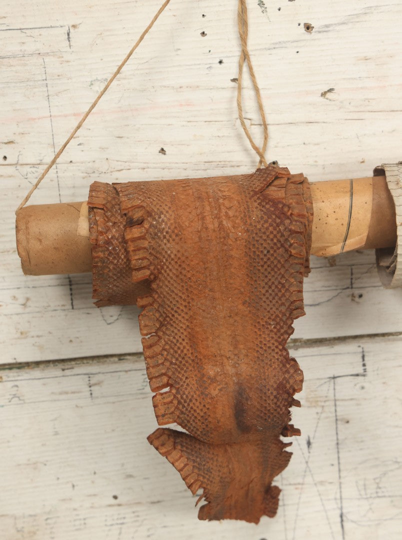 Lot 007 - Antique Snakeskin Store Display With Two Varieties Of Snakeskin On Hanging Cardboard Tube, Sent From Chester B. Stem Inc., New Albany, Indiana, To Mr. Peter B. Hale, Designer And Craftsman Of Hampton, Connecticut