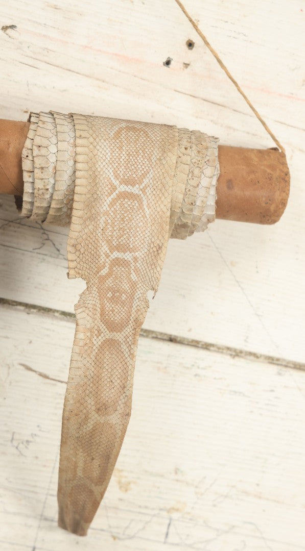 Lot 007 - Antique Snakeskin Store Display With Two Varieties Of Snakeskin On Hanging Cardboard Tube, Sent From Chester B. Stem Inc., New Albany, Indiana, To Mr. Peter B. Hale, Designer And Craftsman Of Hampton, Connecticut