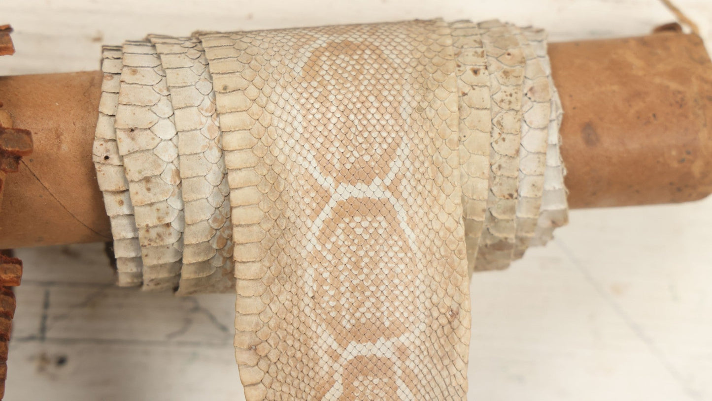 Lot 007 - Antique Snakeskin Store Display With Two Varieties Of Snakeskin On Hanging Cardboard Tube, Sent From Chester B. Stem Inc., New Albany, Indiana, To Mr. Peter B. Hale, Designer And Craftsman Of Hampton, Connecticut