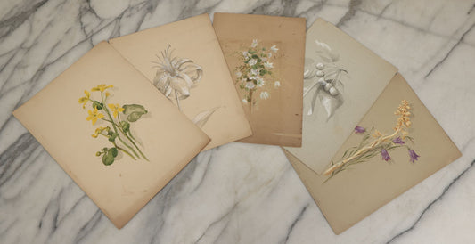 Lot 036 - Grouping Of Five Antique Botanical Watercolor Paintings On Paper Of Flowers And More, Circa 1880, Approximately 7" x 10", Some With Identification (Grouping A)