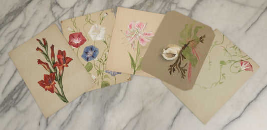 Lot 038 - Grouping Of Five Antique Botanical Watercolor Paintings On Paper Of Flowers And More, Circa 1880, Approximately 7" x 10", Some With Identification (Grouping C)