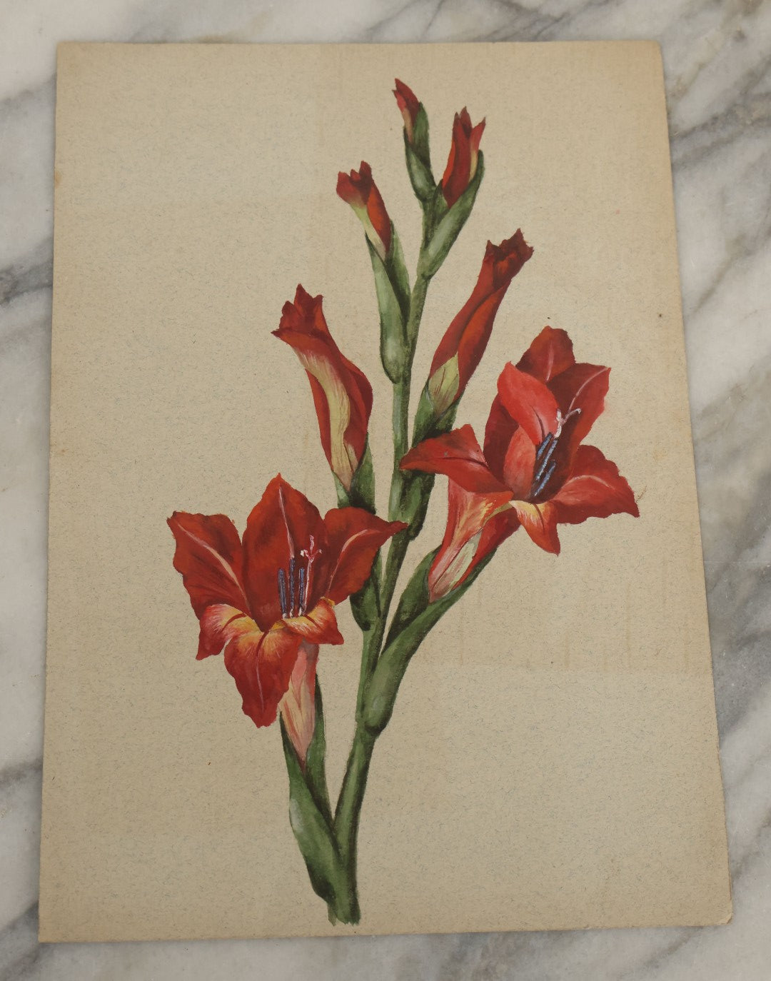 Lot 038 - Grouping Of Five Antique Botanical Watercolor Paintings On Paper Of Flowers And More, Circa 1880, Approximately 7" x 10", Some With Identification (Grouping C)