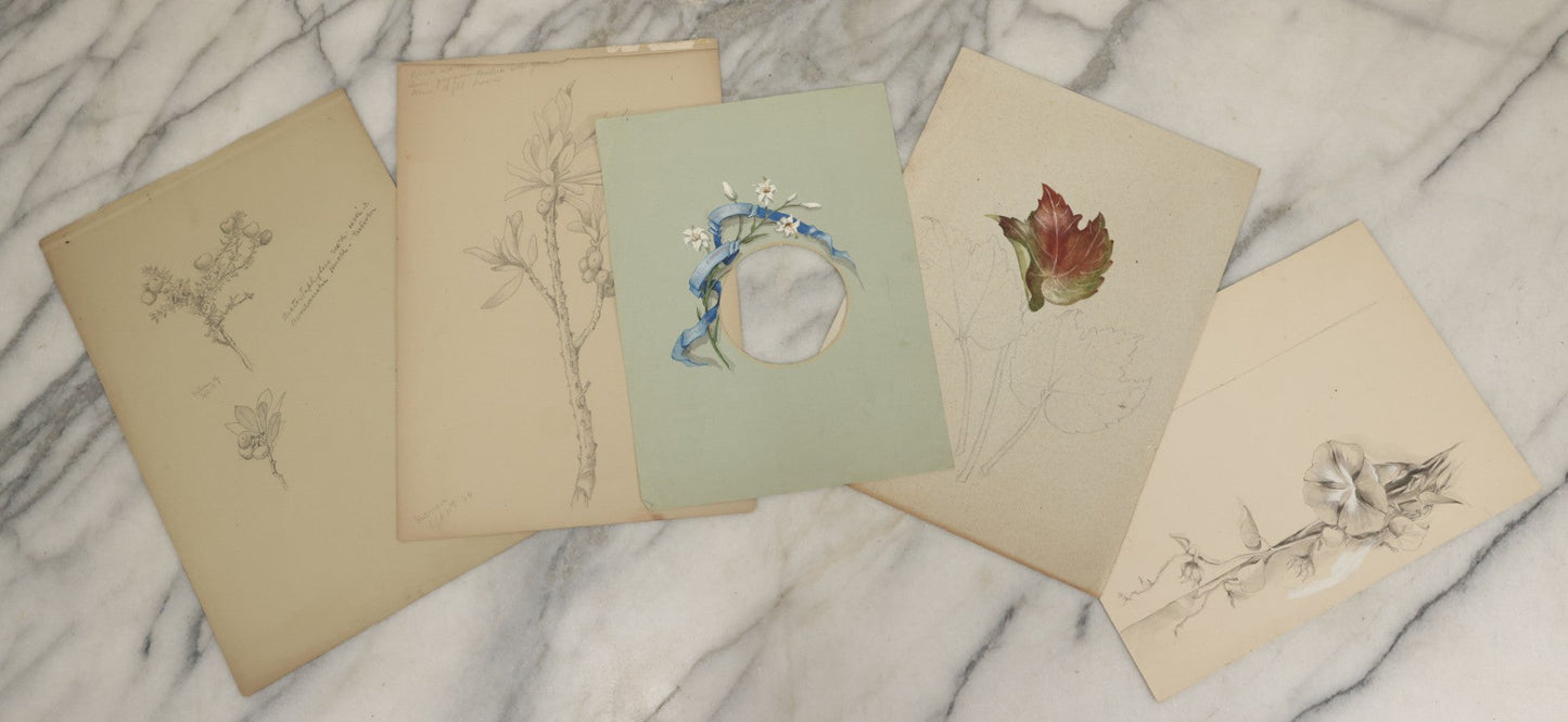 Lot 039 - Grouping Of Five Antique Botanical Watercolor Paintings And Sketches On Paper Of Flowers And More, Circa 1880, Approximately 7" x 10", Some With Identification (Grouping D)